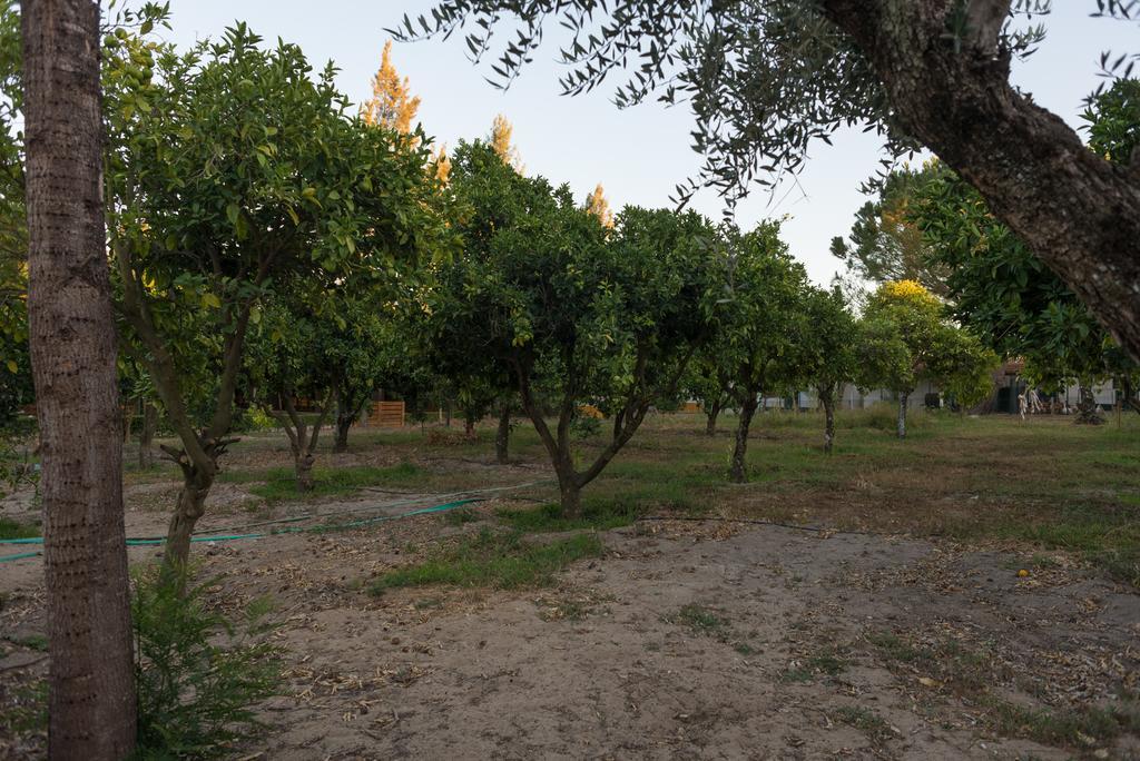 Quinta Da Mimosa Hotell Fajarda Eksteriør bilde